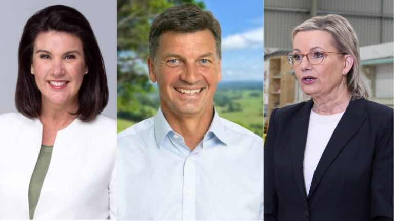 Angus Taylor elected Liberal leader in decisive spill, Jane Hume named deputy