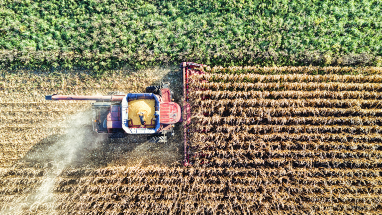 Fertiliser costs are soaring amid war in the Middle East. Will your grocery bill follow?