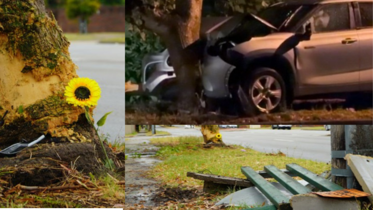 Baby dies after rideshare car crashes into tree in Perth’s south-east