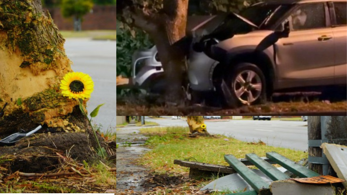 Baby dies after rideshare car crashes into tree in Perth’s south-east ...
