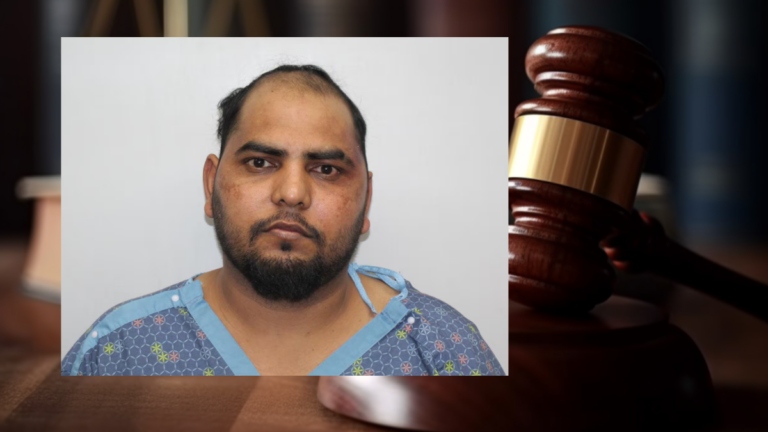 Tarsem Singh charged over high-speed crash that killed pregnant teen and unborn child in US