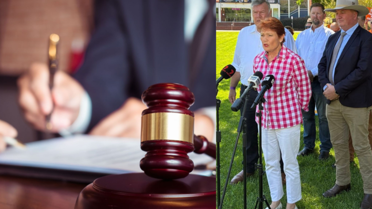 Pauline Hanson vows to scrap migration tribunal to fast-track deportation of violent asylum seekers