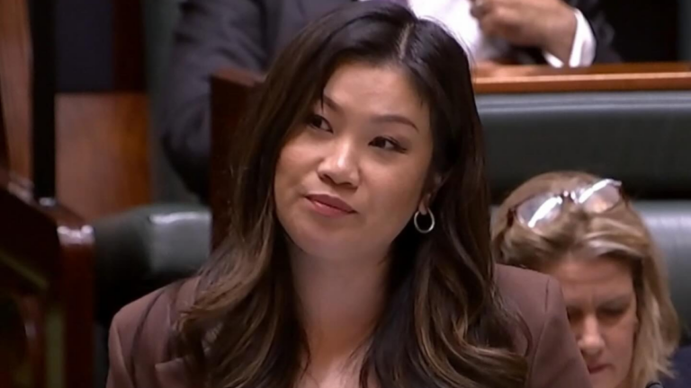 “Nastiness in the Chamber”: Liberal MP Nicole Werner accuses Senior Ministers of targeting her ethnicity, faith, and family