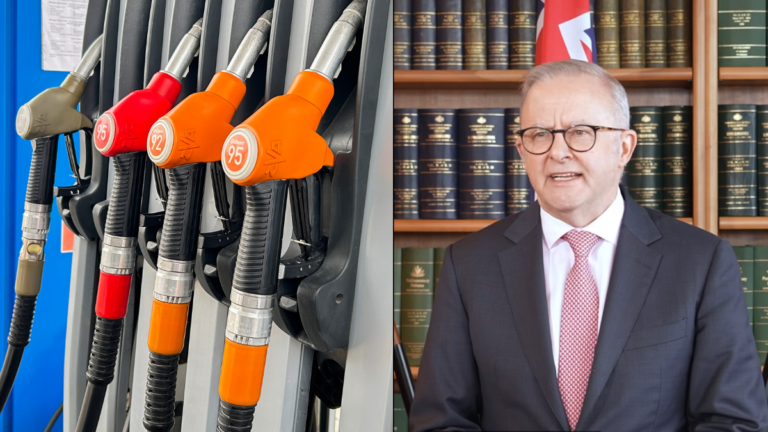 Albanese appoints Anthea Harris to lead new fuel taskforce as regional fuel crisis deepens