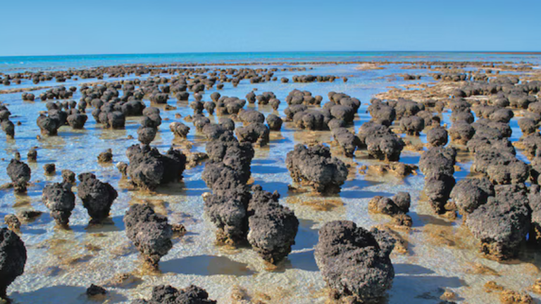 ‘First contact’ that may have led to complex life on Earth finally witnessed by scientists