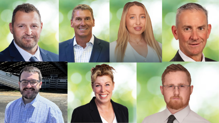 One Nation just a seat away from toppling Liberals as South Australia opposition