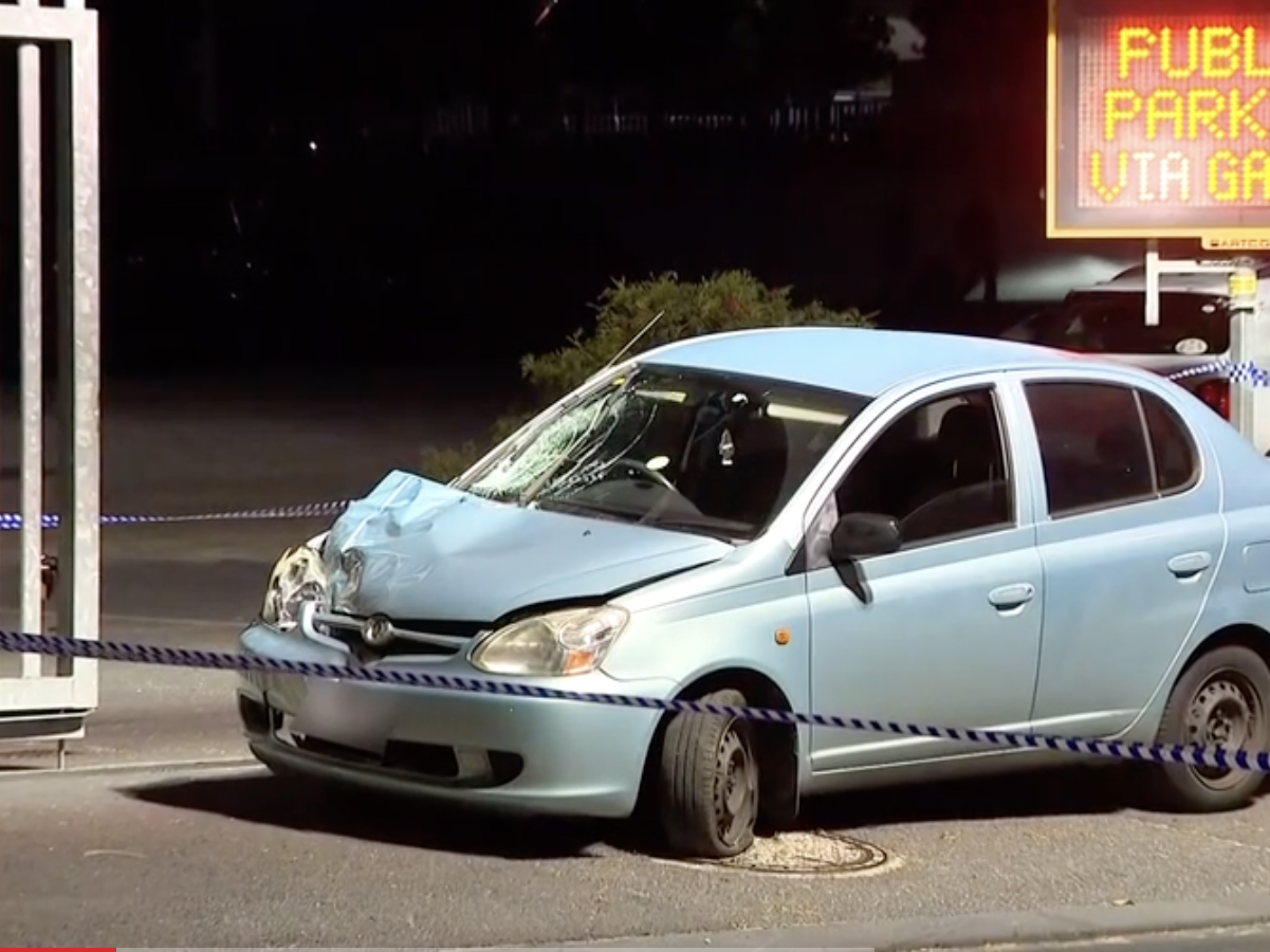 Image Source: Video Screen Shot 7 News