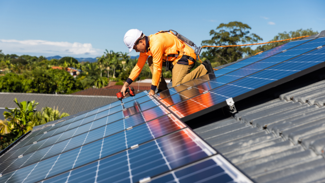 Image: Source: CANVA