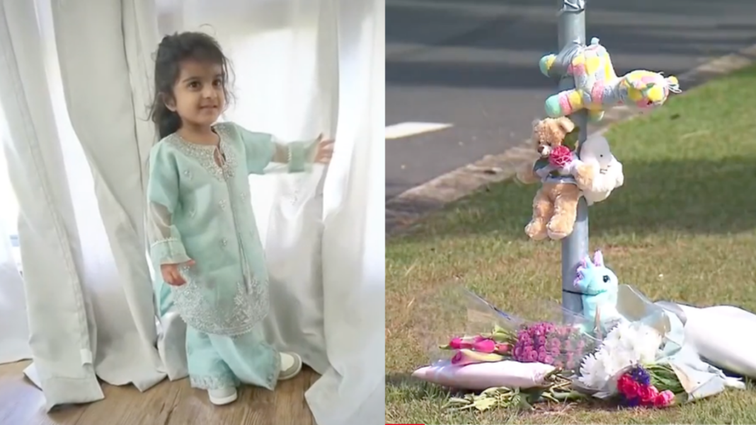 Image Source: Supplied/7 News