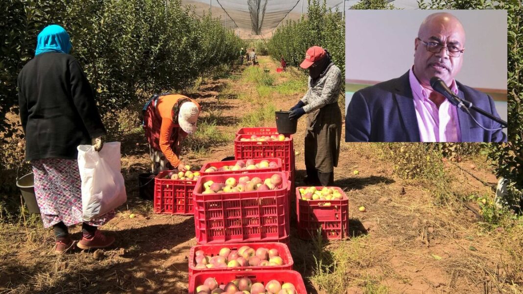 Image: Permanent Secretary for Employment, Productivity and Workplace Relations Jone Maritino Nemani (Source: FijiVillage) and Farm workers (Source: CANVA)