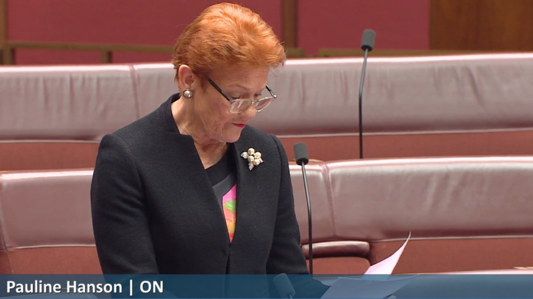 Copy of Untitled (12Image: Senator Pauline Hanson (Source: X)00 x 675 px)