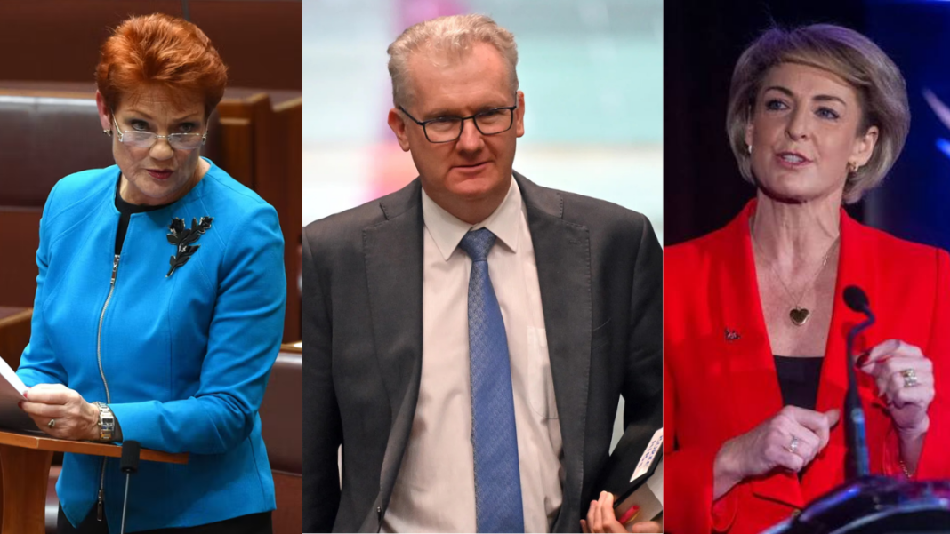 Image: One Nation leader Senator Pauline Hanson (Source: The Conversation screenshot), Home Affairs Minister Tony Burke (Source: The Guardian screenshot), and Shadow attorney-general Michaelia Cash (Source: Wikipedia)