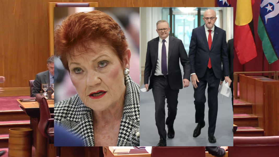 File image: One Nation leader Pauline Hanson, Prime Minister Anthony Albanese with ASIO director-general Mike Burgess (Source: ABC screenshot)
