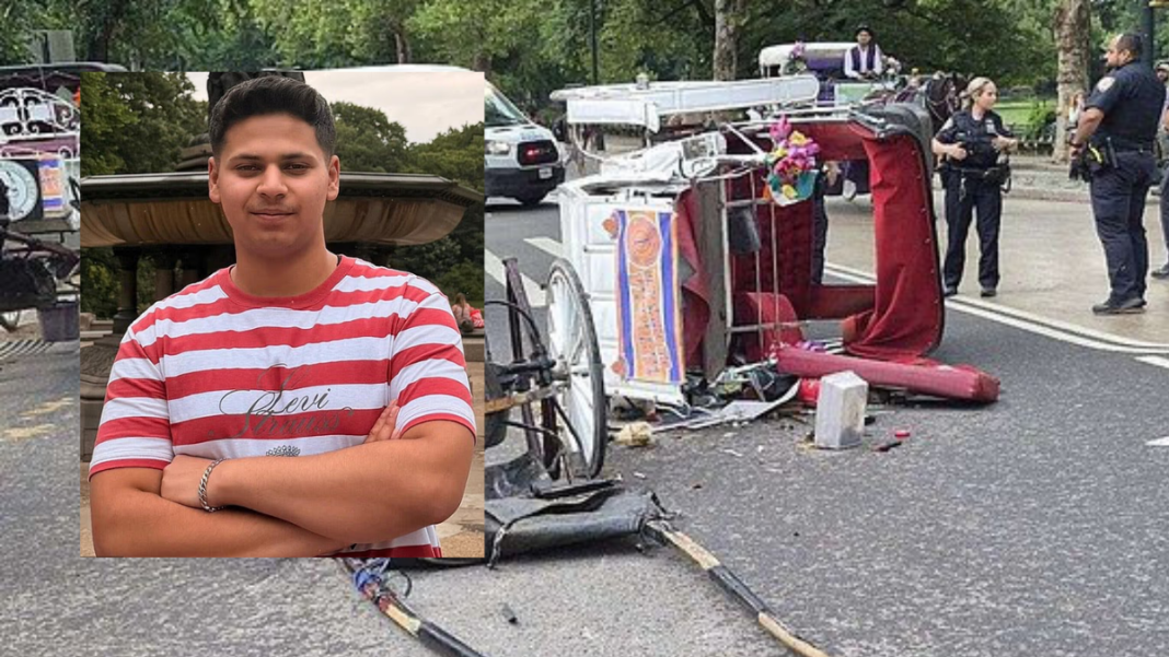 Image: Romanch Mahajan, 18, died in June after he jumped out of the ride and hit his head while trying to rescue his mother during their family trip to the Big Apple from India (Source: Daily Mail screenshots)