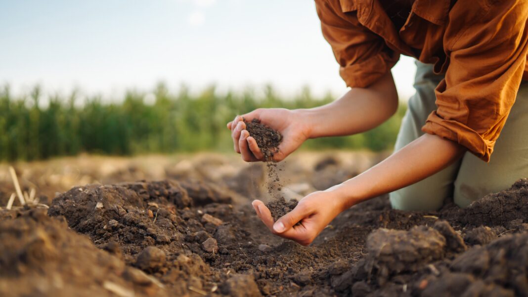 Representative image: Composting (Source: CANVA)