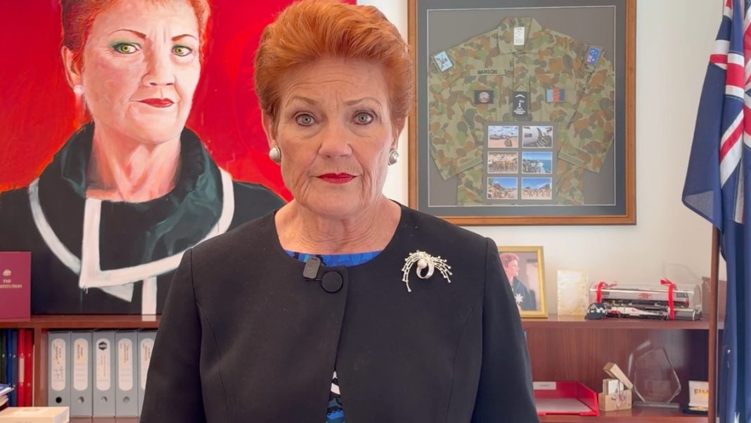 Image: One Nation leader Senator Pauline Hanson has launched a national consultation campaign (Source: X)